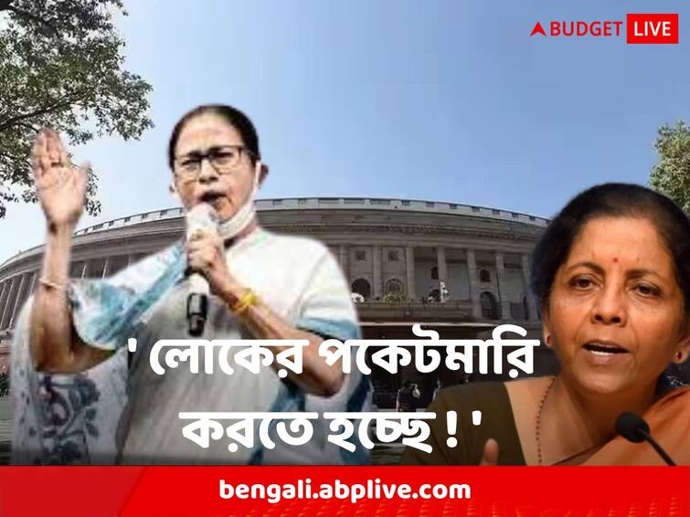 Mamata Banerjee Targets Central Govt BJP ON Budget NIA ED 100 days Work Mamata Banerjee : টাকা নেই বুঝি, লোকের পকেটমারি করতে হচ্ছে ! বাজেটের পর কেন্দ্রকে নিশানা মমতার