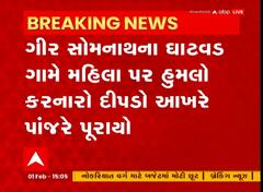 Somnath : મહિલા પર હુમલો કરનાર દીપડો આખરે પુરાયો પાંજરે, લોકોએ લીધો રાહતનો શ્વાસ