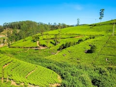 IRCTC Tour: नॉर्थ ईस्ट घूमने का बना रहे हैं प्लान तो इंडियन रेलवे दे रहा सुनहरा मौका, यहां जानें सारी डिटेल्स