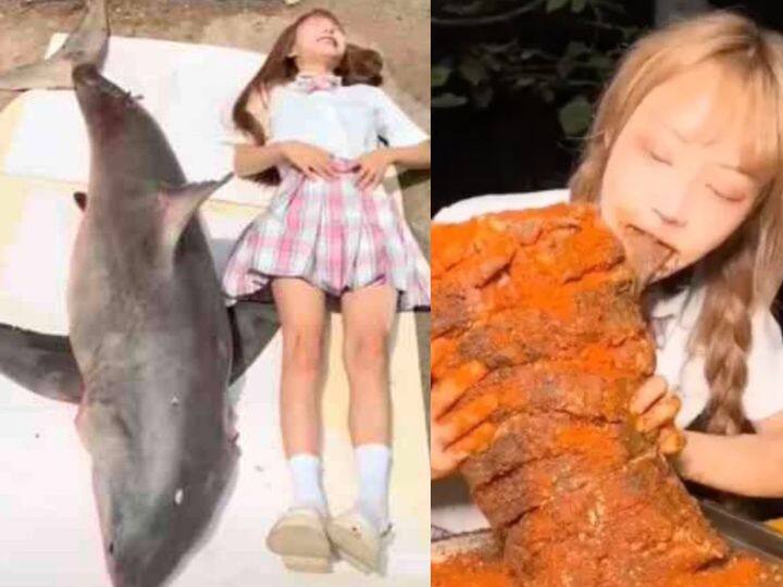 China Food Blogger Fined With Rs 15 lakhs For Eating Great White Shark ग्रेट व्हाइट शार्क को खाना पड़ा भारी, फूड ब्लॉगर पर लगा 15 लाख रुपये का जुर्माना- Video