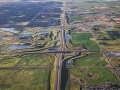 'या' देशात उंदीर पाळायचा असल्यास घ्यावी लागते सरकारची परवानगी, येथे उंदीर मारणे आहे बेकायदेशीर