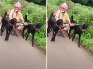 Video: देसी जुगाड़ से चचा ने बना दी ऐसी अनोखी गाड़ी, स्वैग देखकर मजा आ जाएगा 