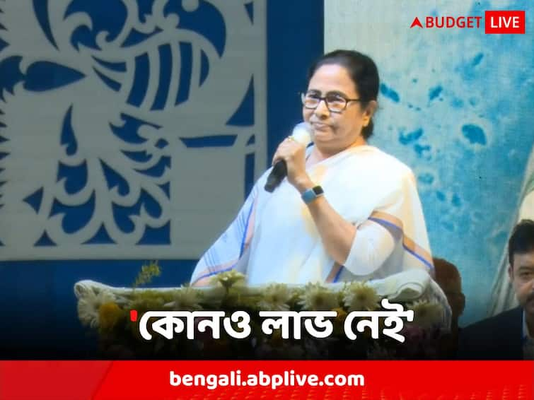 Union Budget 2023 India : There's inflation, no profit, says Mamata Banerjee on New Income Tax structure Mamata on Income Tax : 'মুদ্রাস্ফীতি হয়েছে, কোনও লাভ নেই', কর কাঠামো নিয়ে কেন বললেন মমতা ?