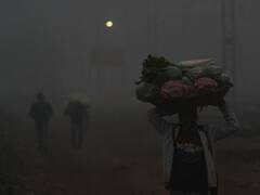 क्या शीतलहर पर पड़ा ग्लोबल वार्मिंग का असर? इस सर्वे में निकाला गया 60 से 70 सालों का रिकॉर्ड, जानें क्या हुए खुलासे