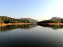 A Peek Into The Wilderness Of Kerala's Thekkady Lake