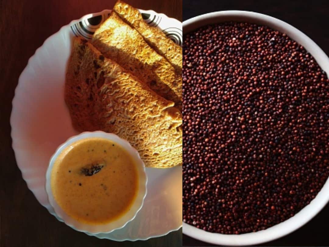 Know About The Health Benefits, Side-Effects And Ways To Consume Ragi Know About The Health Benefits, Side-Effects And Ways To Consume Ragi Know About The Health Benefits, Side-Effects And Ways To Consume Ragi