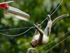 A Peek Into The Wilderness Of Kerala's Thekkady Lake