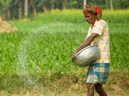 Symptoms and control method of leafhopper attack in rice விவசாயிகளுக்கு டிப்ஸ்! நெல்லில் இலை சுருட்டுப்புழு தாக்குதலின் அறிகுறிகள்..! கட்டுப்படுத்தும் முறை இதுதான் ..!