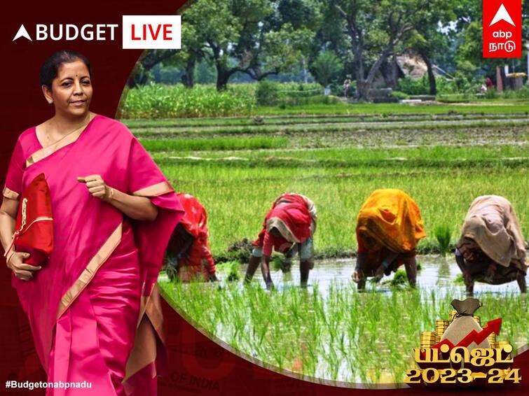 Budget 2023 Agriculture Sector Announcements FM Nirmala Sitharaman Agriculture Budget India 2023-24 Agricultural Credit Target Rs 20 lakh crores Agriculture Budget 2023: வேளாண்துறை கடன் வழங்க 20 லட்சம் கோடி ஒதுக்கீடு.. வேளாண்துறையில் இடம்பற்ற சிறப்பம்சங்கள் என்ன?