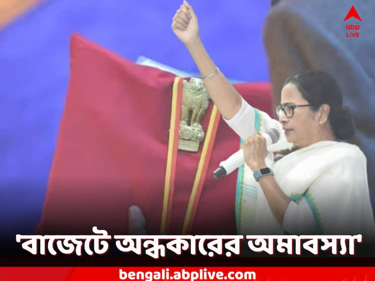 Mamata Banerjee reacts on Union Budget 2023,targeting the central government Mamata Banerjee:বাজেটে আশার আলো নেই, অন্ধকারের অমাবস্যা: মমতা