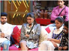 अर्चना से निमृत की दोस्ती पर स्टैन और शिव ने खड़े किए सवाल, मंडली में जमकर हुआ मनमुटाव