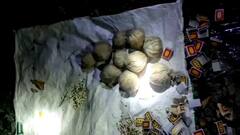 ভাঙরে ডামুজালিতে উদ্ধার ১৭টি তাজা বোমা