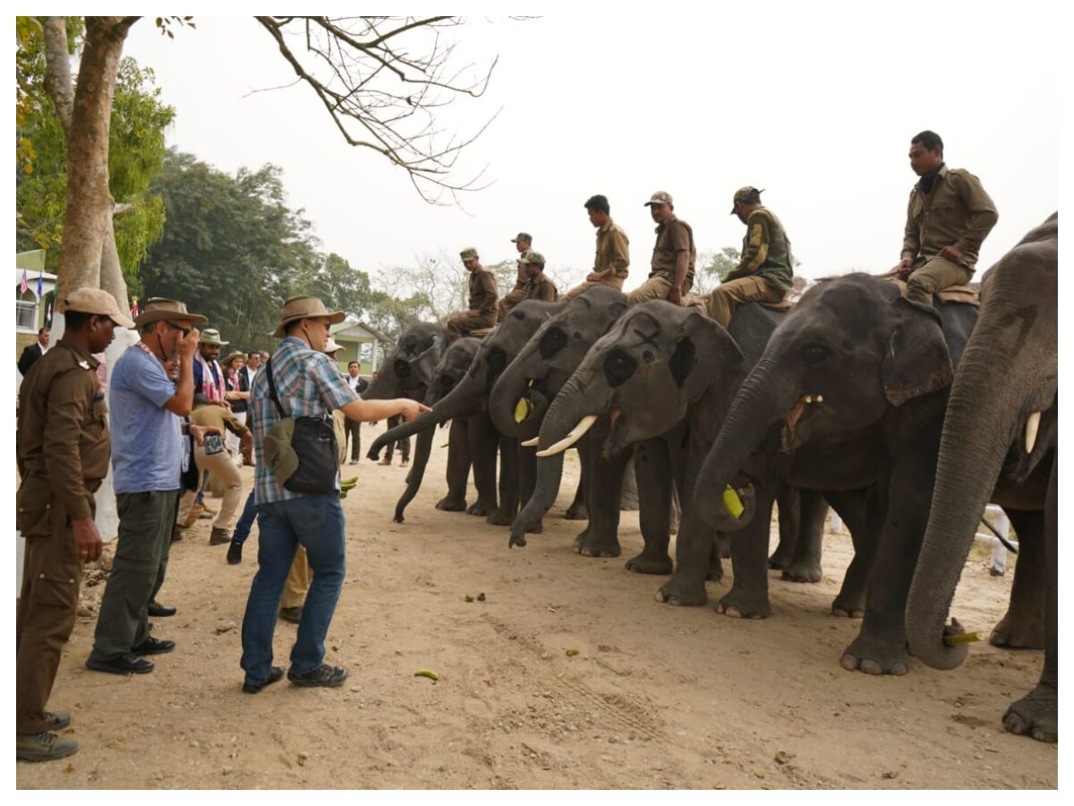 Ahead Of First G20 Meeting In Guwahati, Delegation Visits Kaziranga National Park In Assam