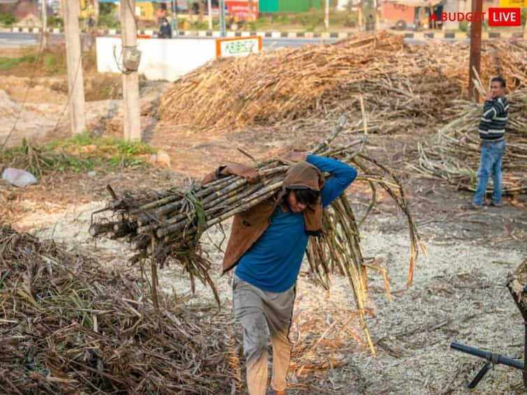 Economic Survey 2023 Over 98 Pc Telephone Subscribers Are Connected Wirelessly, Rural Internet Subscription Sees 200 Pc Increase Union Budget Nirmala Sitharaman