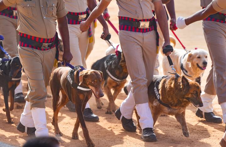 Army Dogs: कुत्रा हा माणसाचा सर्वात विश्वासू मित्र आहे, असे म्हटले जाते. शत्रूचा शोध घेण्यासाठी भारतीय लष्करही याचा वापर करते. भारतीय लष्कर निवृत्तीनंतर आपल्या कुत्र्यांना आणि घोड्यांना गोळ्या घालते, असे अनेक लोक म्हणताना तुम्ही ऐकलं असेल. इंटरनेटवरील अनेक रिपोर्टमध्ये असा दावा करण्यात आला आहे की, कुत्र्यांची सेवा संपल्यानंतर त्यांना मारले जाते.