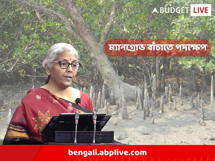 Union Budget 2023 Eco-friendly budget, special emphasis on mangrove plantation Budget 2023: পরিবেশবান্ধব বাজেট নির্মলার, ম্যানগ্রোভ রোপণে বিশেষ জোর