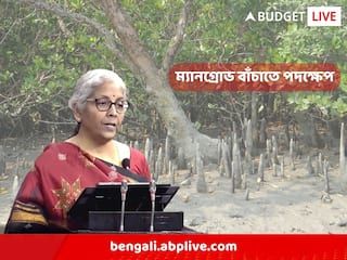 Budget 2023: পরিবেশবান্ধব বাজেট নির্মলার, ম্যানগ্রোভ রোপণে বিশেষ জোর