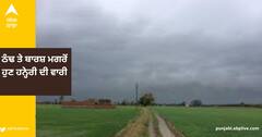 Punjab Weather: ਠੰਢ ਤੇ ਬਾਰਸ਼ ਮਗਰੋਂ ਹੁਣ ਹਨ੍ਹੇਰੀ ਦੀ ਵਾਰੀ, ਮੌਸਮ ਵਿਭਾਗ ਦਾ ਤਾਜ਼ਾ ਅਲਰਟ