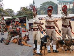 Photo: कुत्रा सैन्यातून निवृत्त झाल्यानंतर त्याला खरंच मारून टाकलं जातं का? जाणून घ्या सत्य...