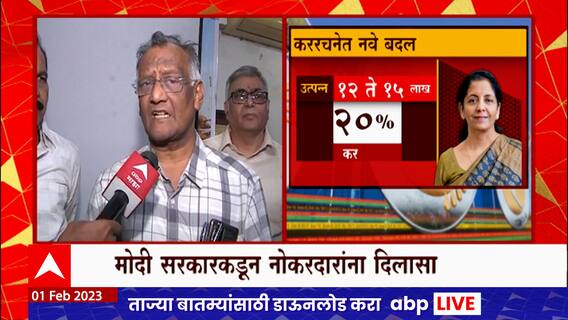 Union Budget 2023: अर्थसंकल्पात नवे बदल, नागपूरच्या लहान मोठ्या उद्योजकांना काय वाटतं?