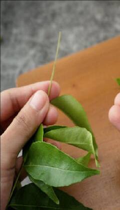 Health Tips: চুলের সমস্যায় জেরবার? কারিপাতায় রয়েছে সমাধান