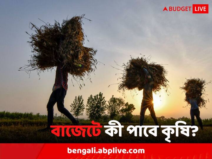 Union Budget 2023: বুধবার সকাল ১১টা নাগাদ বাজেট বক্তৃতা শুরু হবে। ২০২৪ -এর আগে মোদি সরকারের শেষ পূর্ণাঙ্গ বাজেট এটি