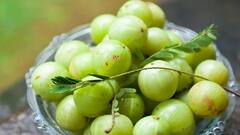 Amla Benefits : સ્વાસ્થ્ય માટે વરદાન છે આંબળા, નિયમિત સેવનથી થાય છે ગજબ ફાયદા