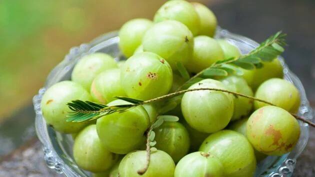 જો આમળા રોજ સવારે ખાલી પેટ ખાવામાં આવે તો તેના ફાયદા અનેકગણો વધી જાય છે. તમે આમળાને કાચા અથવા મુરબ્બાના રૂપમાં ખાઈ શકો છો. જો કે, ડાયાબિટીસના દર્દીઓ તેને કાચો લઈ શકે છે અથવા તેનો રસ, અથાણું અથવા ચટણીના રૂપમાં પણ ખાઇ શકે છે.