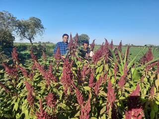 Gujarat Agriculture News: Jamnagars farmer earn Rs 12 lakh through natural farming Farmer’s Success Story: જામનગરના આ ખેડૂતે પ્રાકૃતિક ખેતીથી કરી 12 લાખની આવક