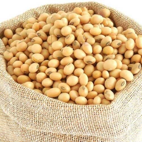 Benefits of Soybean Soybean is a boon for women's health, how much should be eaten in a day?