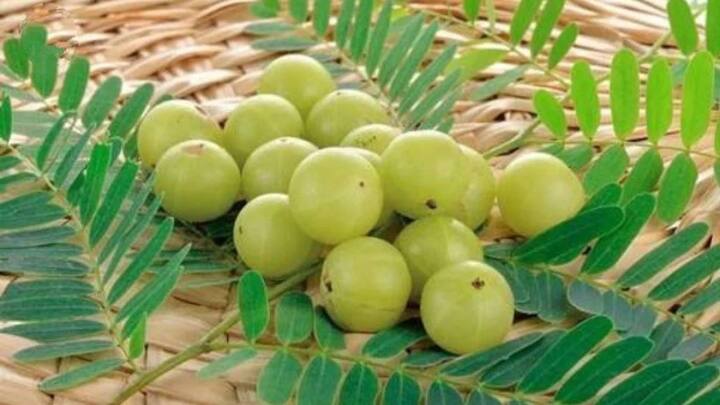 આમળા ત્વચાને ડિટોક્સિફાય કરે છે અને વાળને શાઇની અને મજબૂત બનાવવાનું કામ કરે છે. તેના નિયમિત ઉપયોગથી ત્વચા ગોઇંગ અને યંગ બને છે અને વાળ પણ કાળા, લાંબા અને ઘટ્ટ બને છે.
