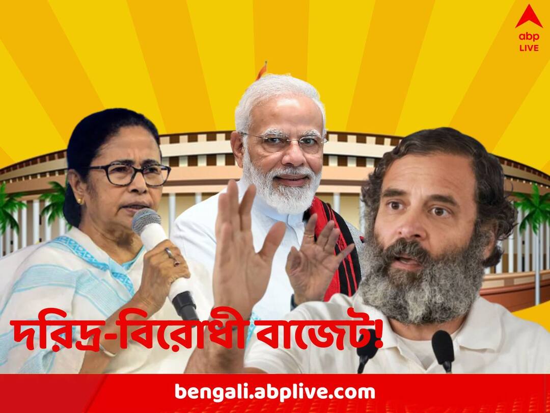 Union Budget 2023 Reactions Mamata Banerjee Rahul Gandhi criticise Narendra Modi Government Budget 2023 Reaction: বাজেট দরিদ্র-বিরোধী! একযোগে সরব বিরোধীরা