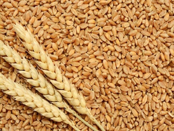 wheat price in india more than 8 lakh metric tonnes of wheat has been sold in eight states Flour Price: आटा सस्ता करने के लिए उठाए जा रहे कई कद, अब 8 राज्यों में 8.88 लाख मीट्रिक टन गेहूं की हुई बिक्री