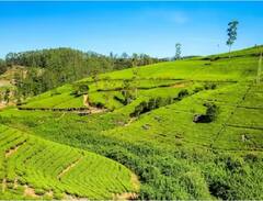 IRCTC Tour: ਜੇ ਤੁਸੀਂ ਉੱਤਰ ਪੂਰਬ ਦਾ ਦੌਰਾ ਕਰਨ ਦੀ ਯੋਜਨਾ ਬਣਾ ਰਹੇ ਹੋ, ਤਾਂ ਭਾਰਤੀ ਰੇਲਵੇ ਤੁਹਾਨੂੰ ਦੇ ਰਿਹੈ ਸੁਨਿਹਰੀ ਮੌਕਾ