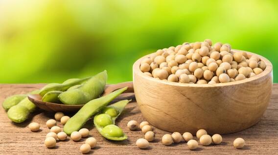 Benefits of Soybean Soybean is a boon for women's health, how much should be eaten in a day?