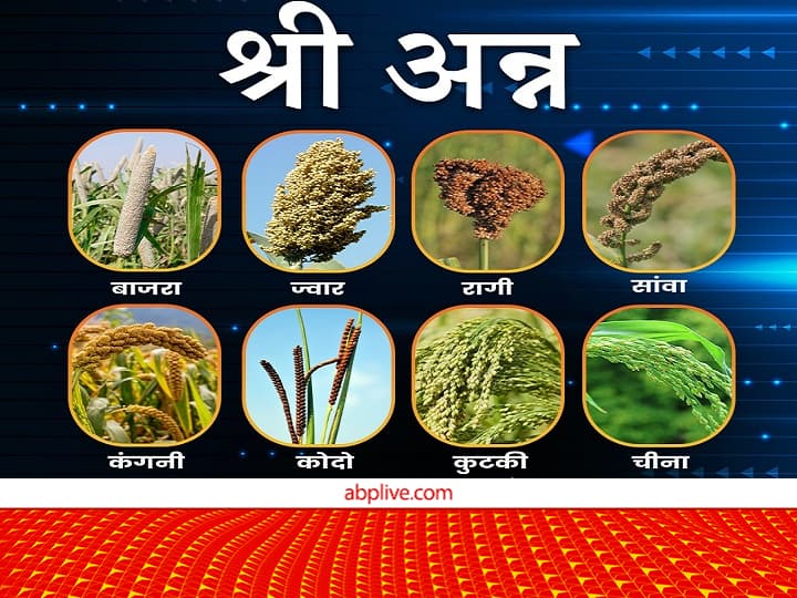 Indian is the largest Producer of Shri Anna Millets and Secord Largest Exporter in the world Shri Anna Yojana: क्या आप जानते हैं 'श्री अन्न'का सबसे बड़ा उत्पादक है भारत, निर्यात के मामले में इन देशों को छोड़ा पीछे