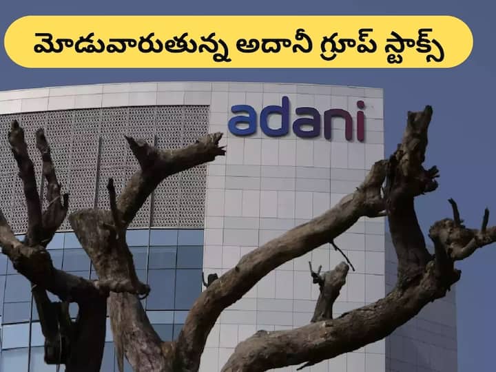 Most Adani group stocks hit lower circuits, check more details Adani Group Stocks: క్రెడిట్‌ సూయిస్‌కు జత కలిసిన సిటీ గ్రూప్‌ - అదానీ స్టాక్స్‌ పతనం కంటిన్యూస్‌