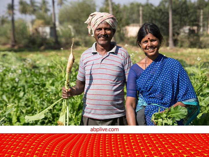 Bihar Government 7500 Crop LOss Compensation Under Fasal Sahayata Yojana Crop Loss Compensation: किसानों के लिए चलाई गई फसल सहायता योजना, फसल में नुकसान होने पर मिलेगा 7,500 रुपये का सहायतानुदान