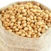 Benefits of soybeans:મહિલાના સ્વાસ્થ્ય માટે આ કારણે વરદાન છે સોયાબીન્સ, દિવસમાં કેટલા ખાવા જોઇએ?