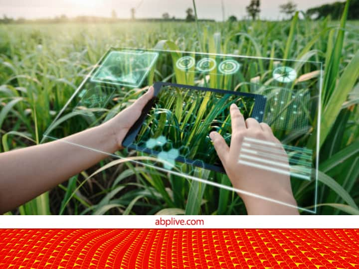 Union Budget 2023 Announcement Digital Public Infrastructure Platform will help in meeting every need of farmers Agriculture Budget 2023: क्या है डिजिटल पब्लिक इंफ्रास्ट्रक्चर प्लेटफॉर्म, जो किसानों की हर जरूरत को पूरा करने में मदद करेगा