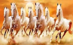 Vastu Tips : ઘરમાં દોડતાં 7 ઘોડાની  તસવીર લગાવવા પાછળ શું છે હેતુ? જાણો શું કહે છે વાસ્તુ નિષ્ણાત