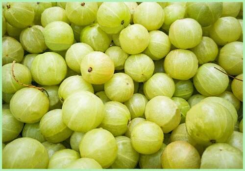 આમળામાં ઘણા એવા ઔષધીય તત્વો છે, જે ઘણી બીમારીઓ સામે રક્ષણ આપવામાં મદદરૂપ છે. આયુર્વેદમાં આંબળાને પ્રકૃતિનું વરદાન માનવામાં આવે છે. આમળામાં વિટામિન-સી, કેલ્શિયમ, એન્ટીઓક્સીડેન્ટ, આયર્ન, પોટેશિયમ જેવા અનેક પોષક તત્વોનો ખજાનો છે.