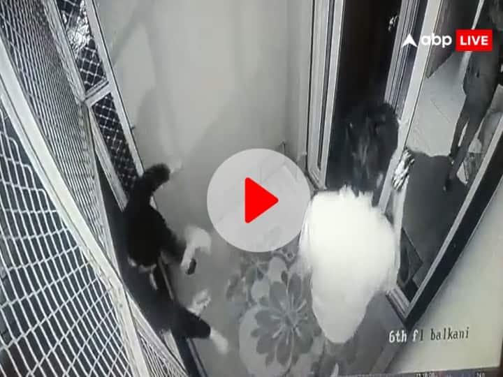 Kota Coaching Student Falls from 6th Floor of Hostel Building Dies Video Captured in CCTV ANN Kota: हॉस्टल की छठी मंजिल से गिरा छात्र, CCTV में कैद हुई मौत, वीडियो वायरल