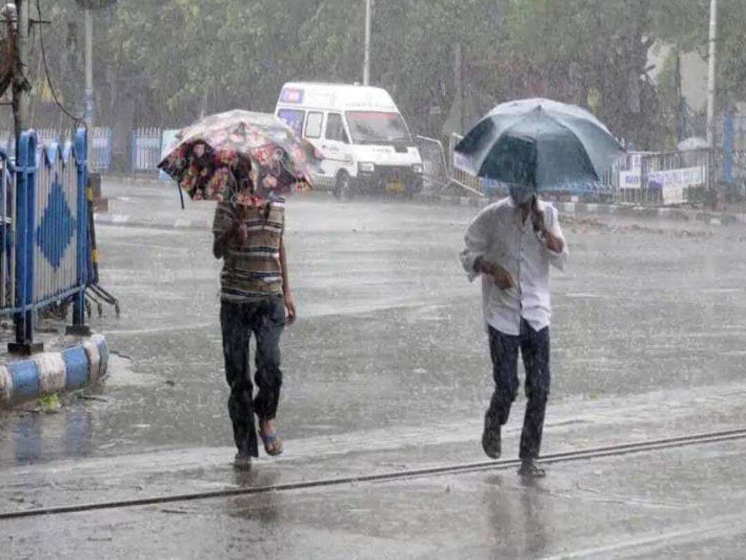 TN Rain: அடுத்த 3 மணி நேரத்தில் 23 மாவட்டங்களில் மழைக்கு வாய்ப்பு- வானிலை மையம் Rain likely in 23 districts in next 3 hours in tamilnadu says IMD TN Rain: அடுத்த 3 மணி நேரத்தில் 23 மாவட்டங்களில் மழைக்கு வாய்ப்பு- வானிலை மையம்