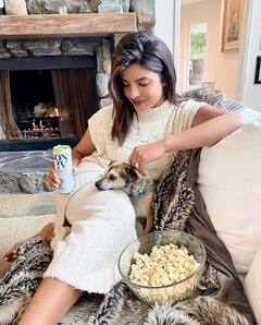 Alia Bhatt से Disha Patani तक, इंसानों से ज्यादा आलीशान जिंदगी जीते हैं इन हसीनाओं के पालतू जानवर, फॉलोवर्स जानकर रह जाएंगे दंग