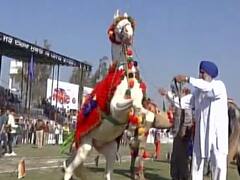 पंजाब में चार साल बाद शुरू हुआ 'रूरल ओलंपिक गेम्स', 1933 से होता आ रहा आयोजन