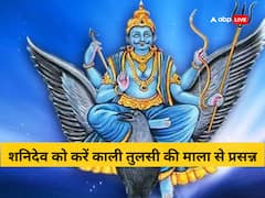 शनिवार उपाय: शनि की साढ़े-साती से परेशान हैं, तो करें काली तुलसी की माला से इस मंत्र का जाप