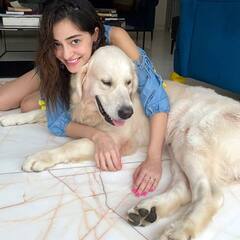 Alia Bhatt से Disha Patani तक, इंसानों से ज्यादा आलीशान जिंदगी जीते हैं इन हसीनाओं के पालतू जानवर, फॉलोवर्स जानकर रह जाएंगे दंग