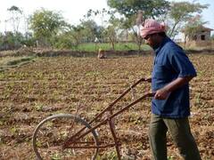 बस्तरः आदिवासियों की जमीन पर डाला जा रहा डाका, आर्थिक तंगी के कारण औने-पौने दामों में बेच रहे