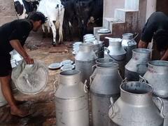 दूध की बढ़ती कीमतों ने बिगाड़ा घरों का बजट, अभी और बढ़ने की संभावना, एक्सपर्ट ने बताई वजह